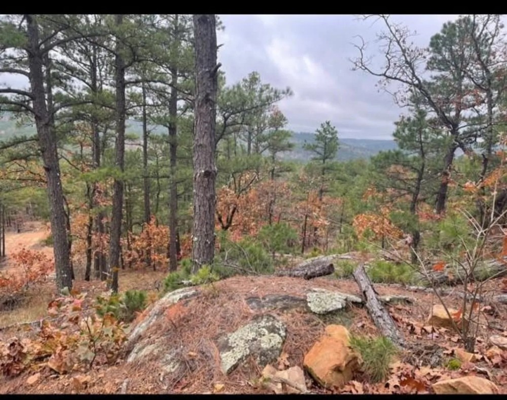 Buck Creek Recreational Hunting Ranch Moyers Pushmataha County OK 517 AC featured image