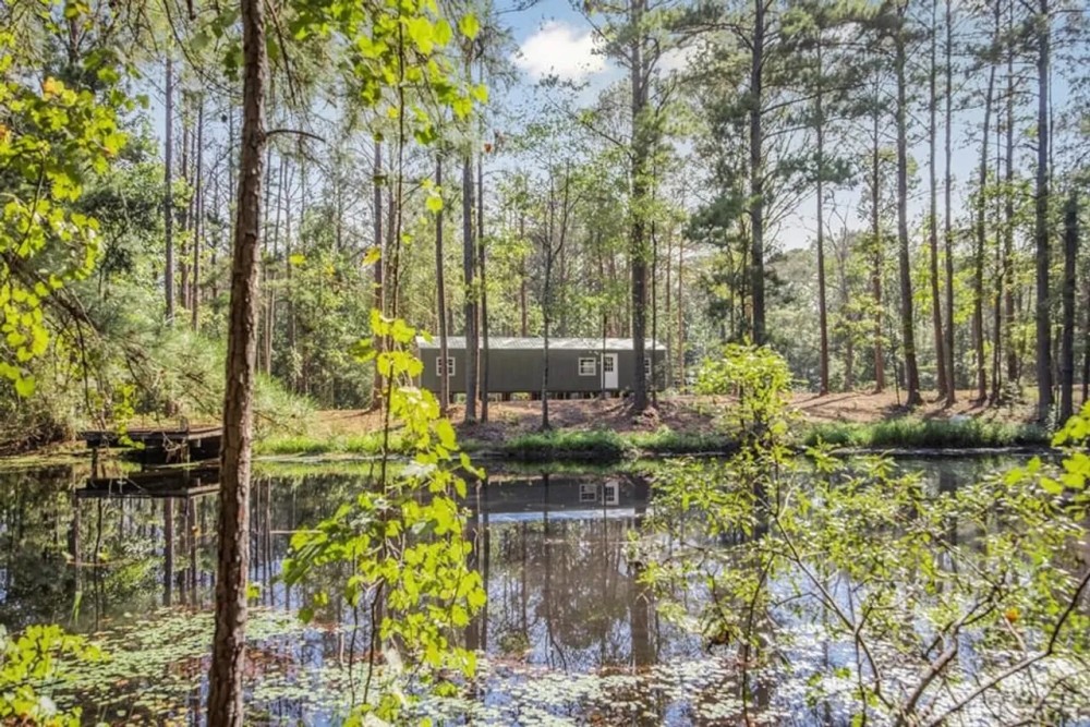 Wilkinson County Hunting Land Adjoining National Forest featured image