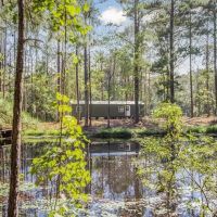 Wilkinson County Hunting Land Adjoining National Forest