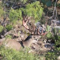 Wilson Carlsbad Ranch images 2