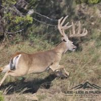 Wilson Carlsbad Ranch images 3