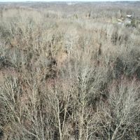 Florence Ave. Washington County - 16 acres images 5