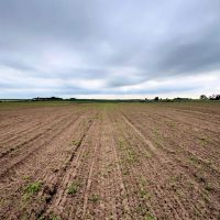 18.12 acres more or less Holt County Nebraska