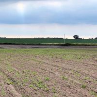 18.12 acres more or less Holt County Nebraska images 2