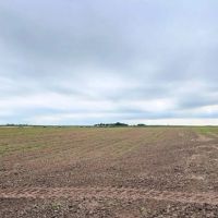 18.12 acres more or less Holt County Nebraska images 4