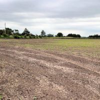 18.12 acres more or less Holt County Nebraska images 5