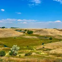 Irrigated Fort Shaw Farm images 3
