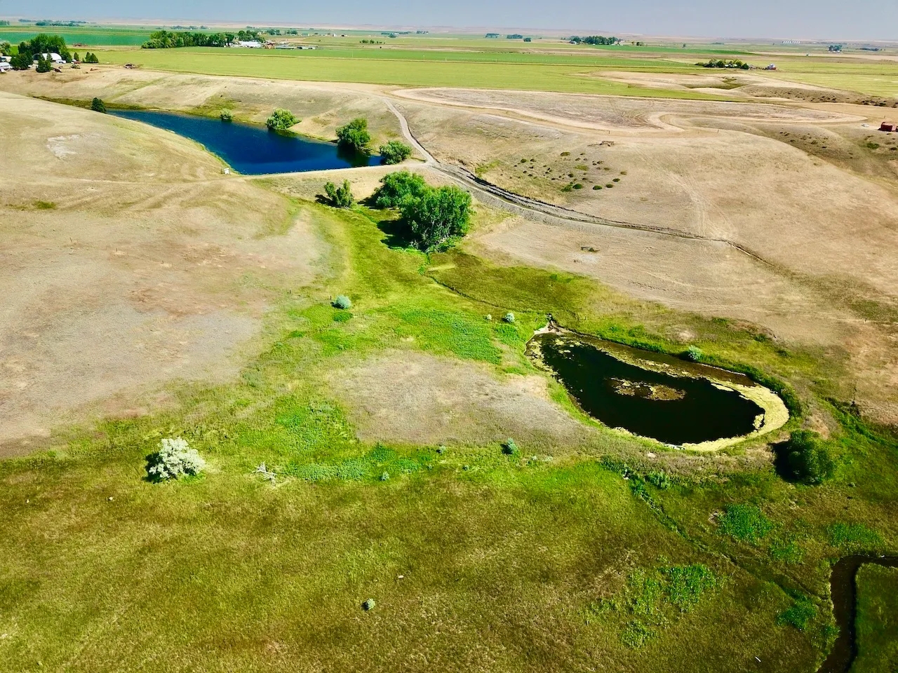 Irrigated Fort Shaw Farm Hunting Land for Sale