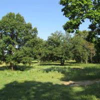 PRIME Building Rolling Hill Tracts Choctaw County OK Tract 5