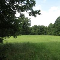 PRIME Building Rolling Hill Tracts Choctaw County OK Tract 5 images 2