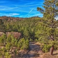 9205 County Rd 38.2 Weston CO 81091 images 3