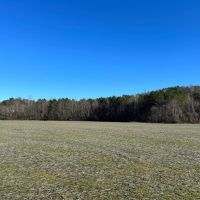 48 Acres in Lafayette County MS