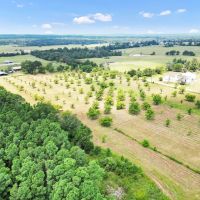 Henderson County Texas Legacy Farm For Sale Near Athens TX images 3
