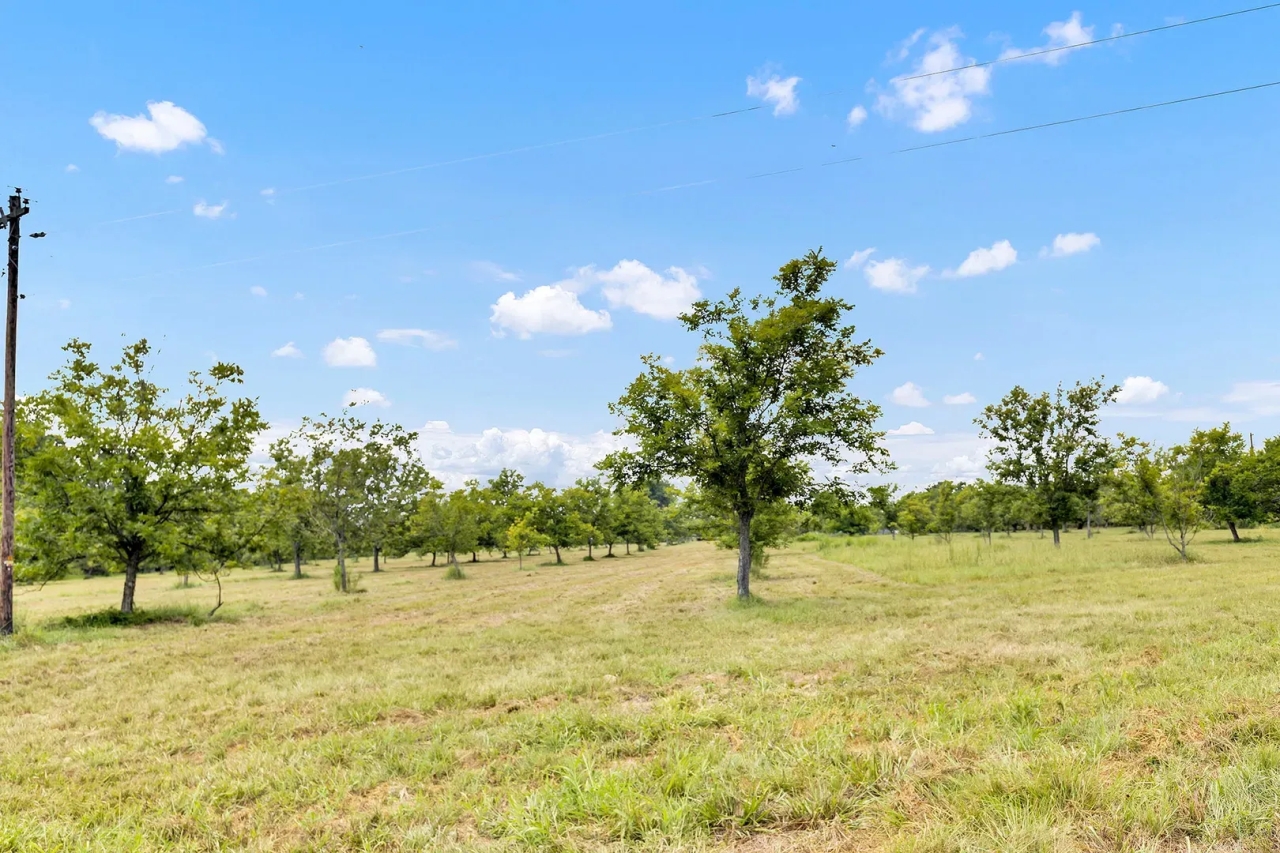 Henderson County Texas Legacy Farm For Sale Near Athens TX Hunting