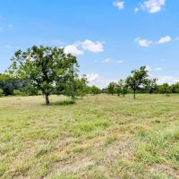 Henderson County Texas Legacy Farm For Sale Near Athens TX images 5