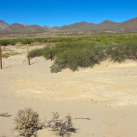 San Simon Valley - 500,000 acres Deer hunting land in Graham, AZ images 5