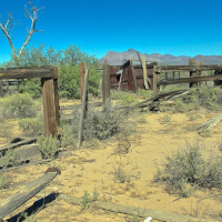 San Simon Valley - 500,000 acres Deer hunting land in Graham, AZ images 3