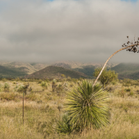 San Simon Valley - 500,000 acres Deer hunting land in Graham, AZ images 4