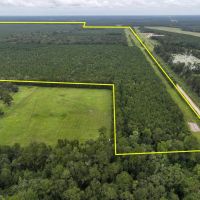 784 Acres T-4 CR 2204 01286 01287 images 2