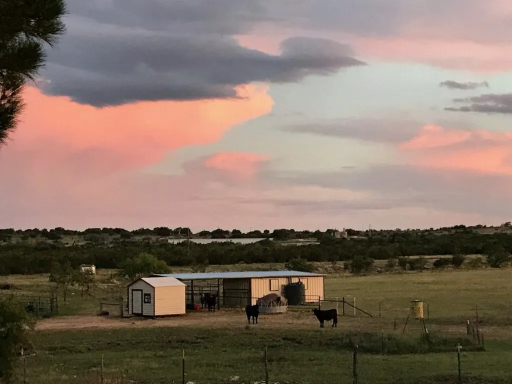 80-Acre Horse Property in Mertzon TX for Sale featured image