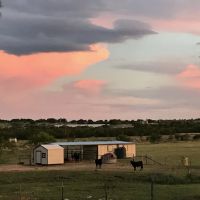 80-Acre Horse Property in Mertzon TX for Sale