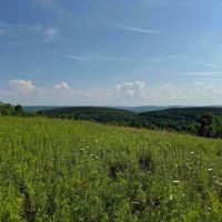 23.3 acres Hunting Land and Building Lot with Amazing Views in Friendship NY Maple Grove Rd Lot 9 images 4