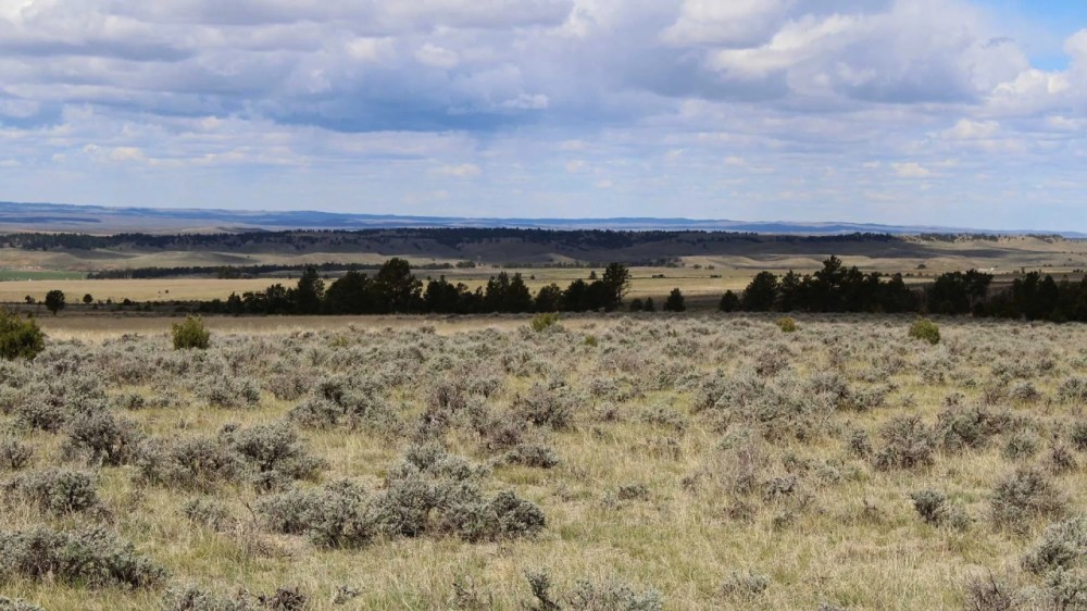 Perino Ranch featured image