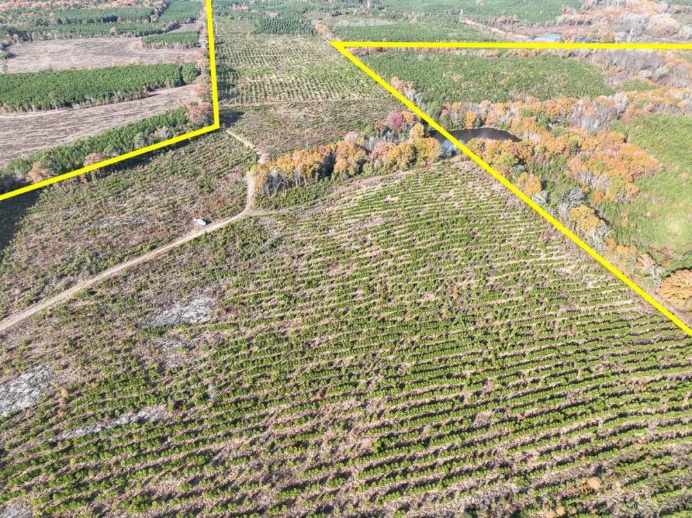 433 Acres CR 3201 Maya 1008 featured image