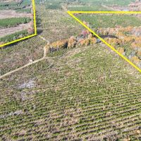 433 Acres CR 3201 Maya 1008