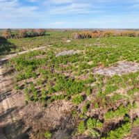 433 Acres CR 3201 Maya 1008 images 5