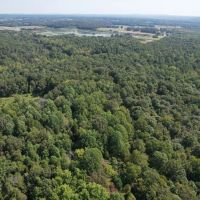 rural living and comfort in this 1344 sqft home sitting on 40 acres images 2