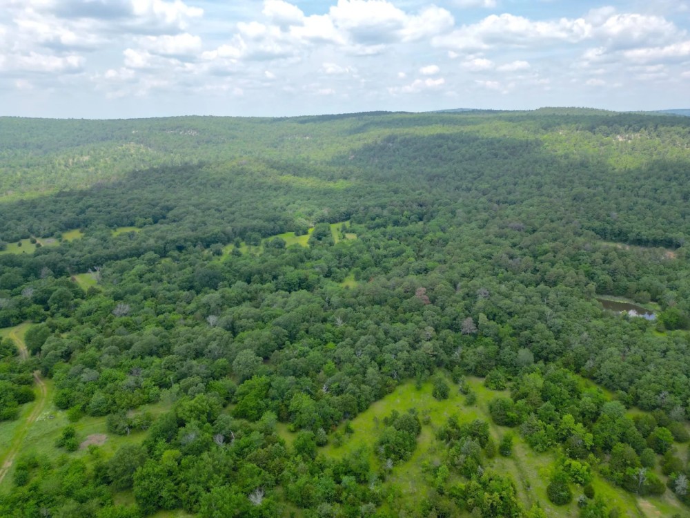 Acreage For Sale in Daisy Oklahoma Hunting Land for Sale