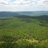 Acreage For Sale in Daisy Oklahoma images 2