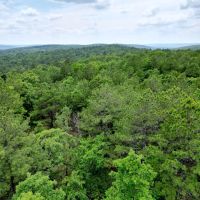 Acreage For Sale in Daisy Oklahoma images 3