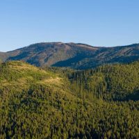 Coon Hollow Retreat images 3