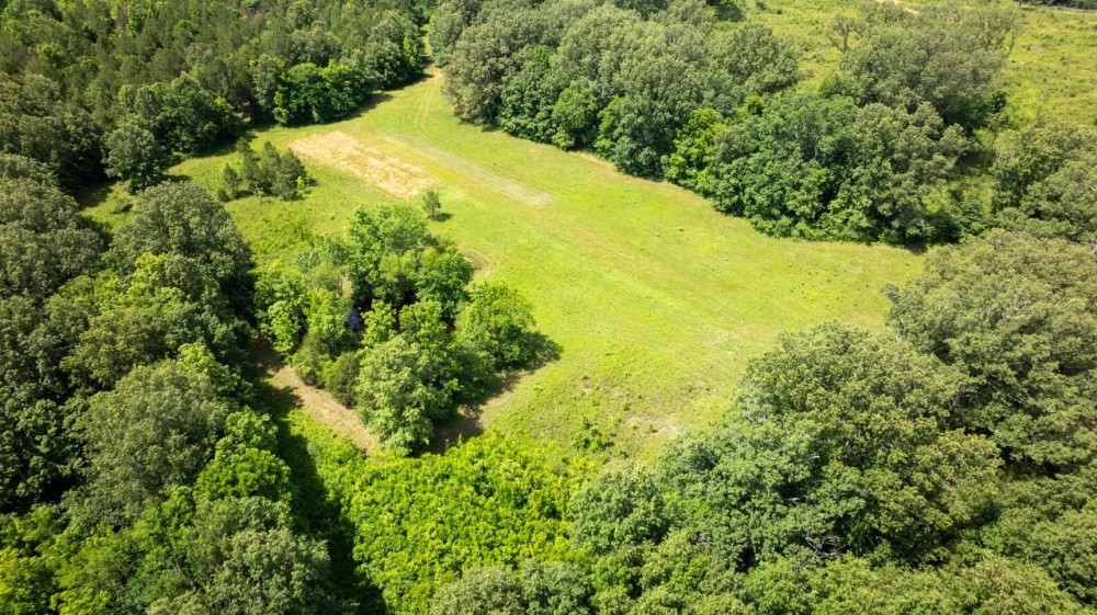 Beautiful 200 acre timber tract in the Prairie featured image