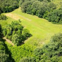 Beautiful 200 acre timber tract in the Prairie
