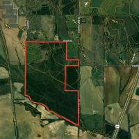 Beautiful 200 acre timber tract in the Prairie images 2
