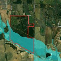 Beautiful 200 acre timber tract in the Prairie images 3