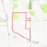 Beautiful 200 acre timber tract in the Prairie images 4