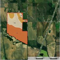 Beautiful 200 acre timber tract in the Prairie images 5