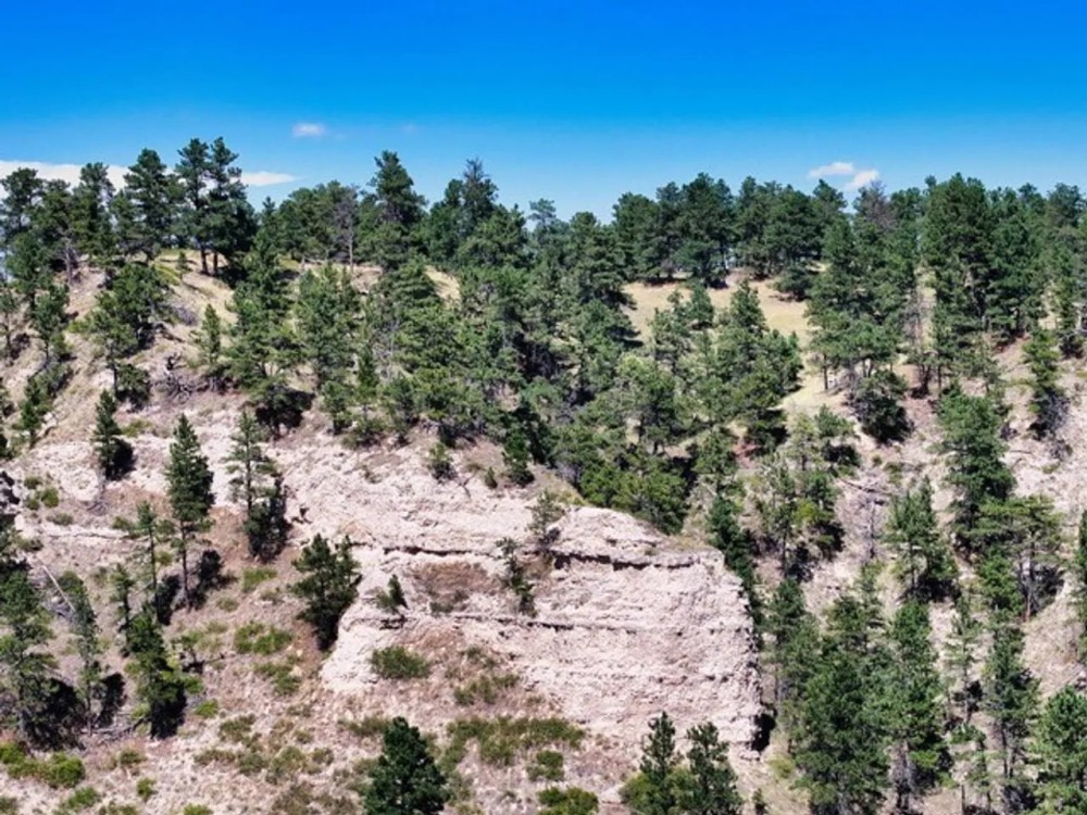 Skyline Pines Estate-All Tracts featured image