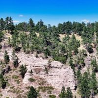 Skyline Pines Estate-All Tracts