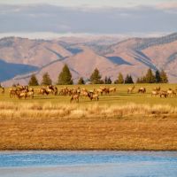 Little Camas Ranch images 3