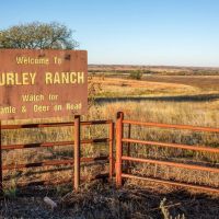 Turley Ranch images 2