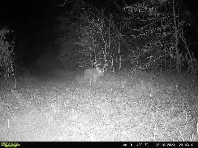 Recreational Property in Clinton CO. featured image