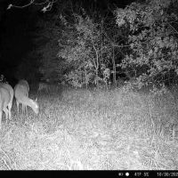 Recreational Property in Clinton CO. images 4