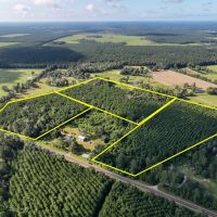 10 Acres T-6 FM 1013 CR 517 287052