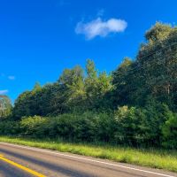 10 Acres T-6 FM 1013 CR 517 287052 images 2