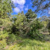 10 Acres T-6 FM 1013 CR 517 287052 images 4